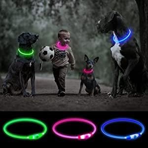 SerDa-Run Light-Up Dog Collar