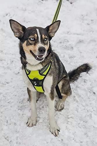 TrueLove TLH5651 Reflective Dog Harness