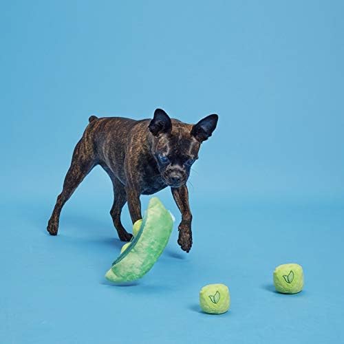 BarkBox Multi-Part Plush Dog Toys
