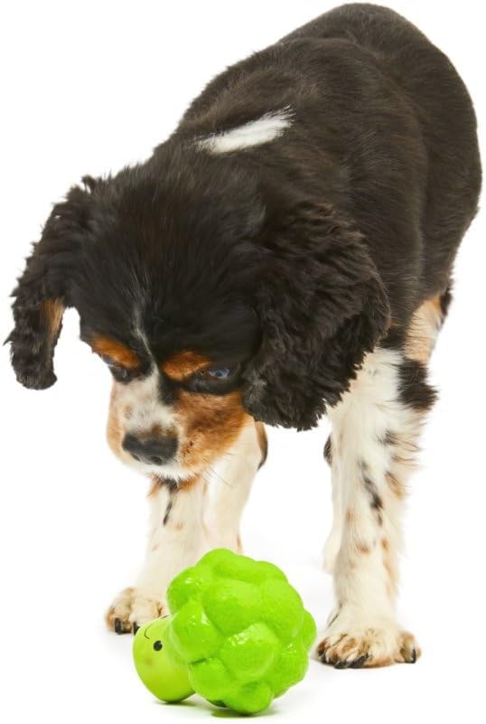 Petface Latex Apple Soft Chew Dog Toy, Large | PetNestUK