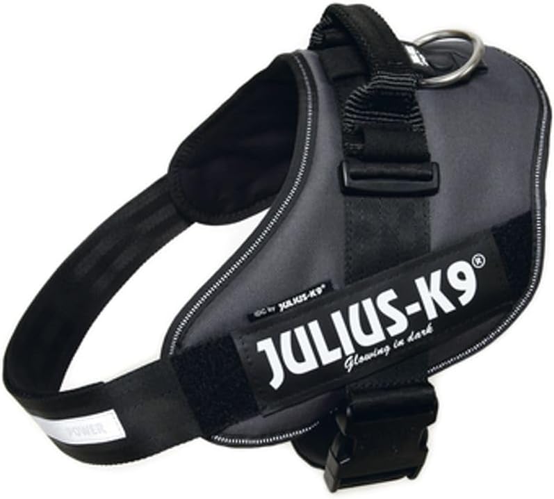 Julius-K9 IDC Powerharness for Small Dogs