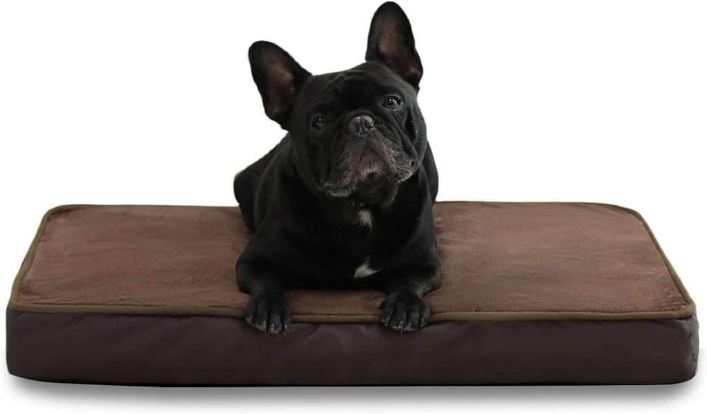 Jaspuriea Foam Dog Bed with Removable Cover