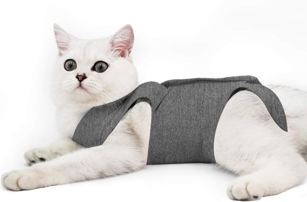 Cat Professional Recovery Suit for Abdominal | PetNestUK