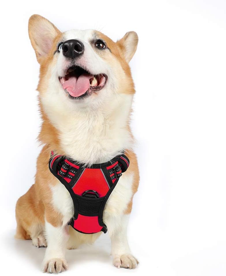 rabbitgoo Dog Harness Dog No Pull Pet Harness | PetNestUK