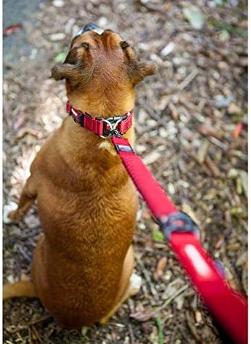 EzyDog Double Up Adjustable Dog Collar