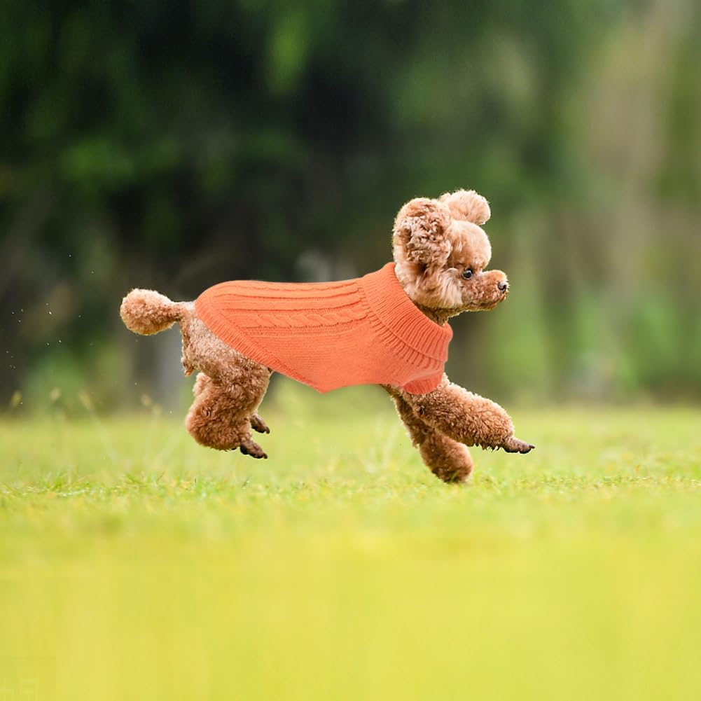 Small Dog Jumper, Warm Puppy Sweater for Small | PetNestUK