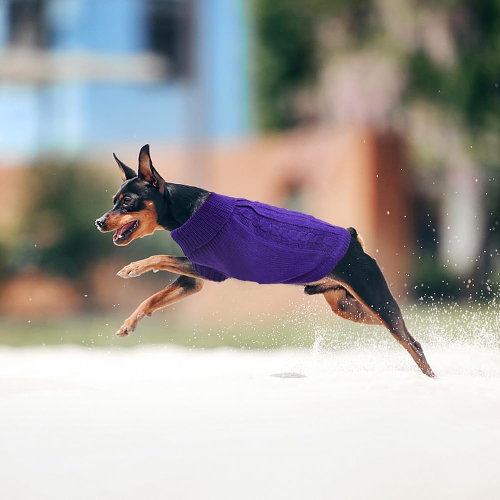 Knitted Jumper for Small Dogs
