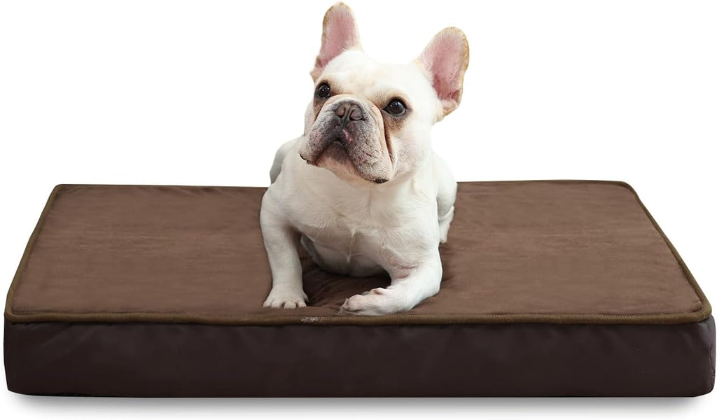 Jaspuriea Foam Dog Bed with Removable Cover