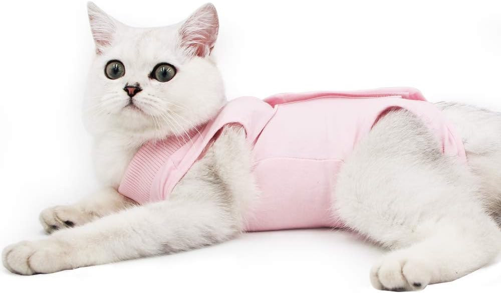 Cat Professional Recovery Suit for Abdominal | PetNestUK