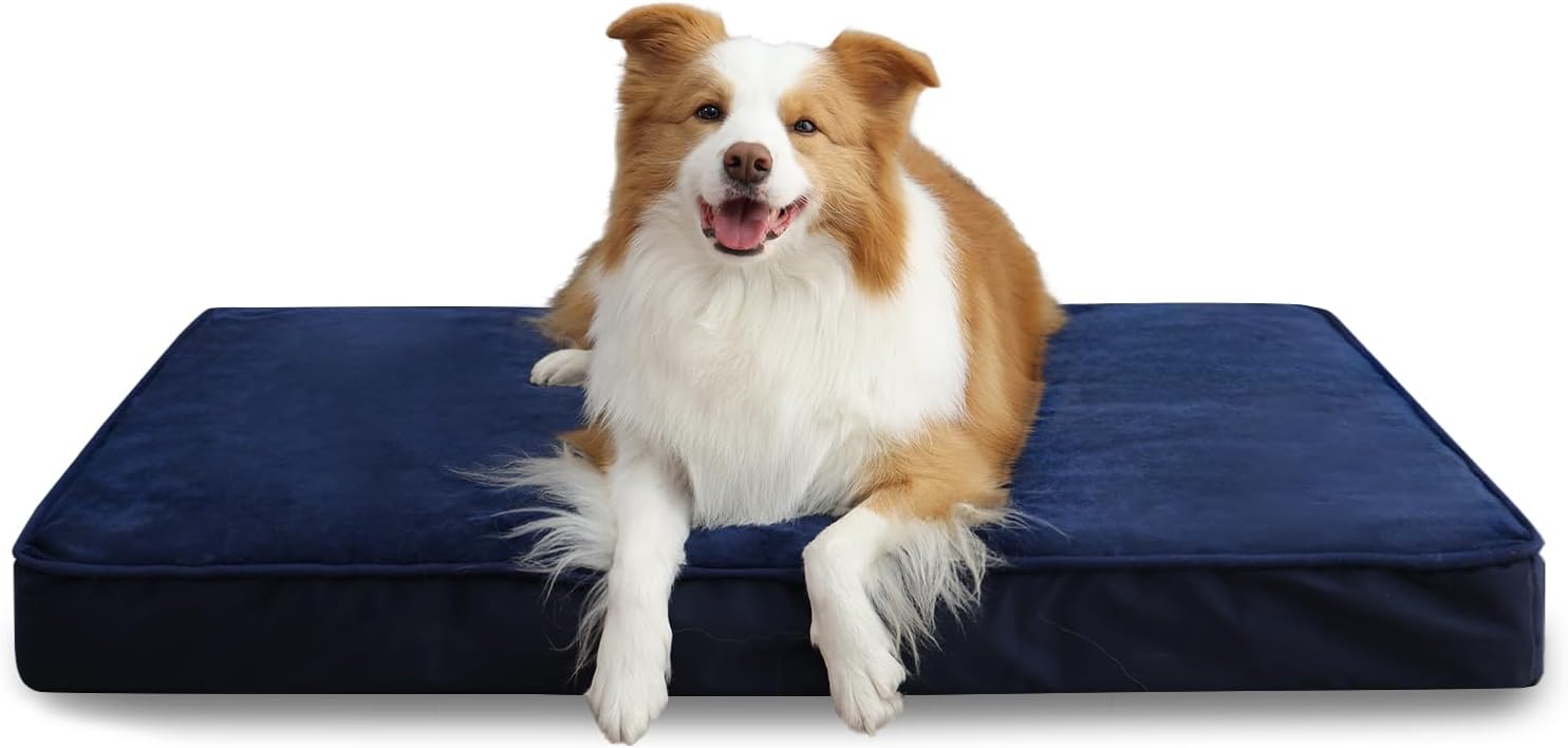 Jaspuriea Orthopedic Dog Beds Washable with | PetNestUK