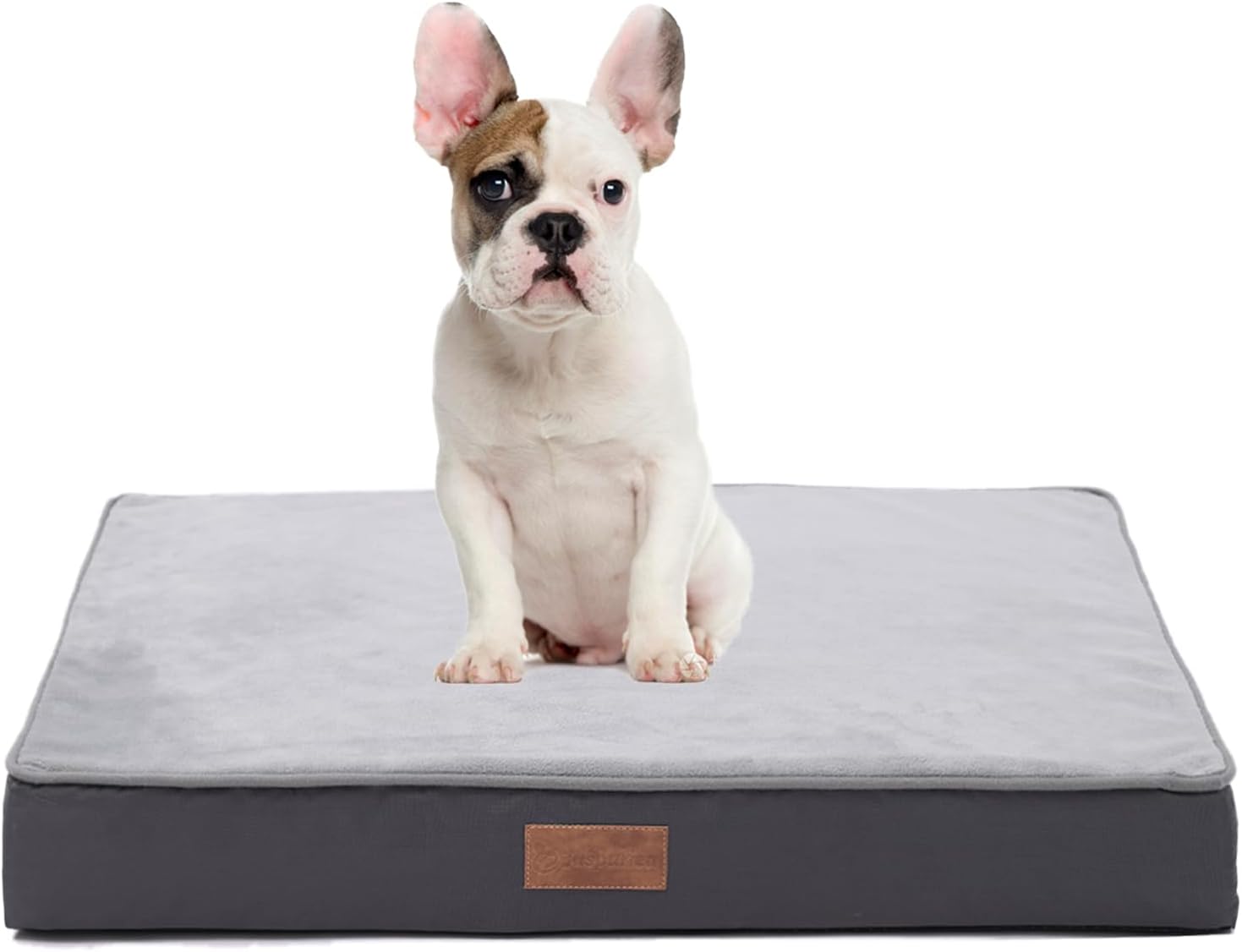 Jaspuriea Orthopedic Dog Beds Washable with | PetNestUK