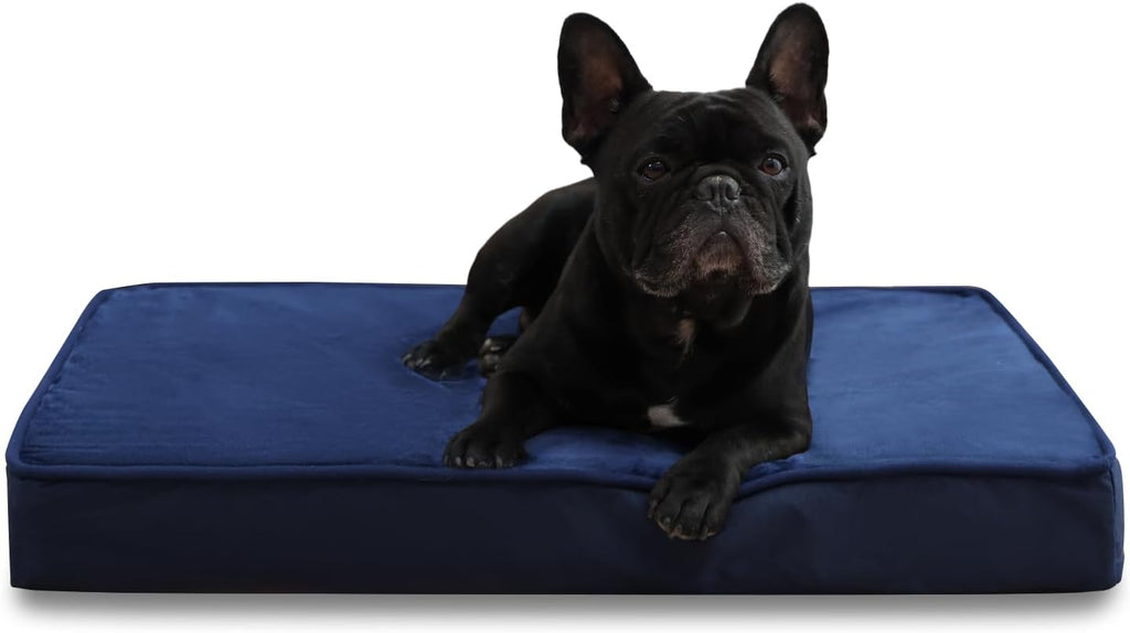 Jaspuriea Foam Dog Bed with Removable Cover