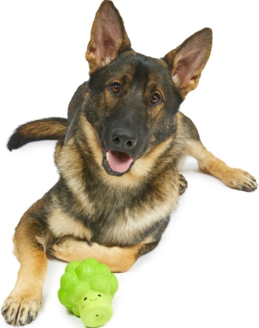 Petface Latex Fruit and Vegetable Dog Toys