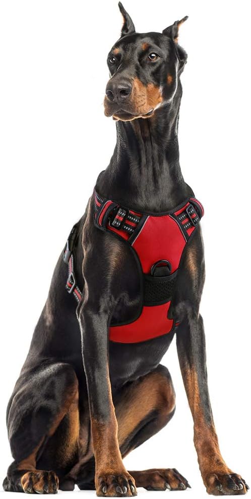 rabbitgoo Padded Dog Harness with Two Lead Clips
