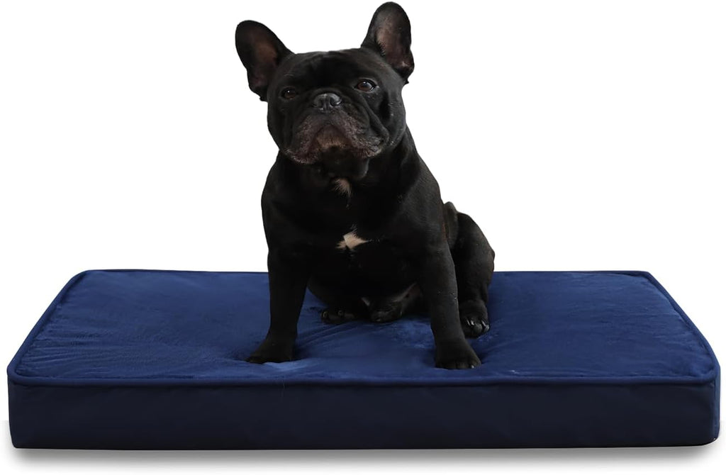 Jaspuriea Foam Dog Bed with Removable Cover