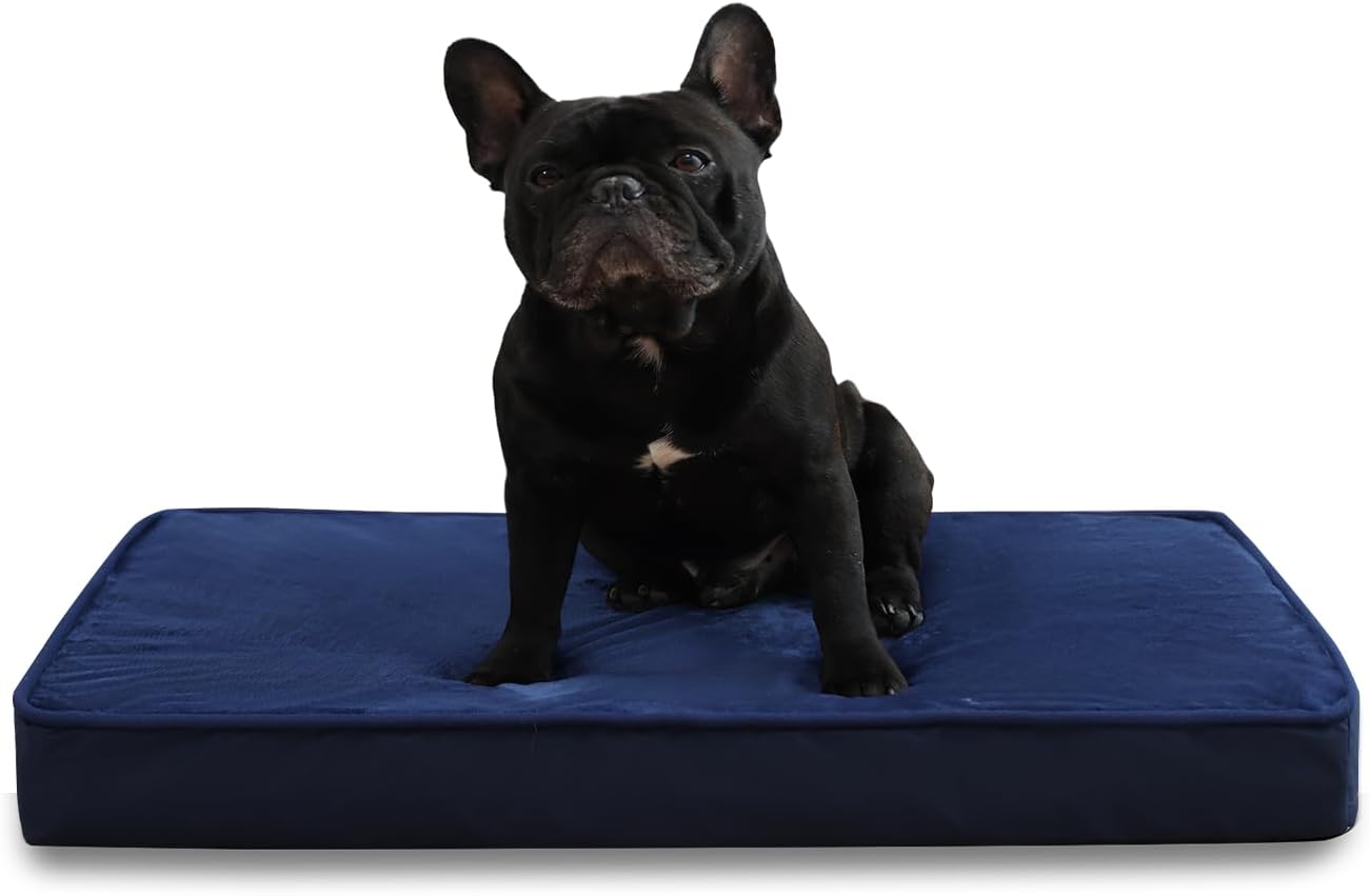 Jaspuriea Orthopedic Dog Beds Washable with | PetNestUK