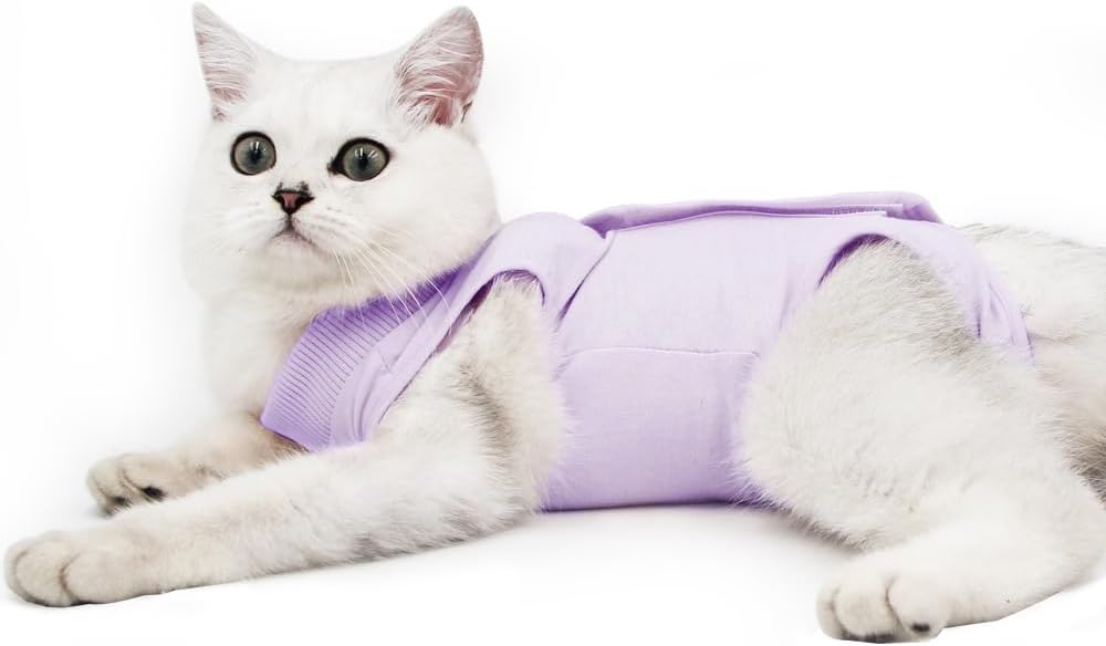 Cat Professional Recovery Suit for Abdominal | PetNestUK