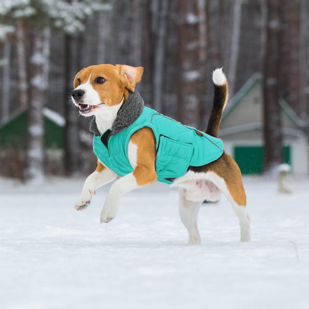 EMUST Winter Dog Coats, Fleece Dog Apparel for | PetNestUK