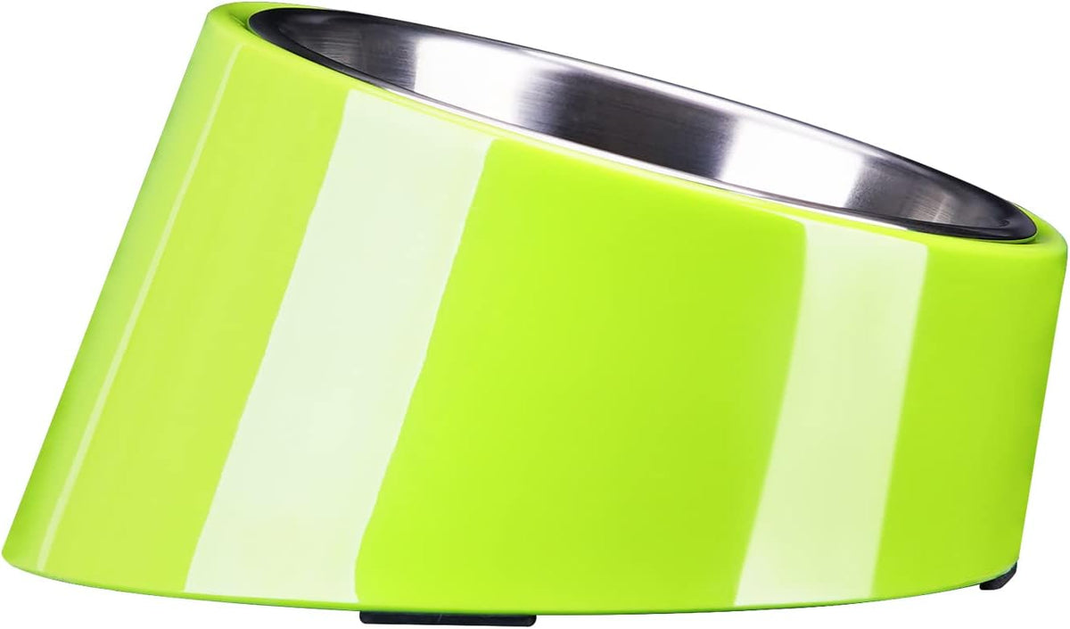 SuperDesign Slanted Stainless-Steel Pet Bowl