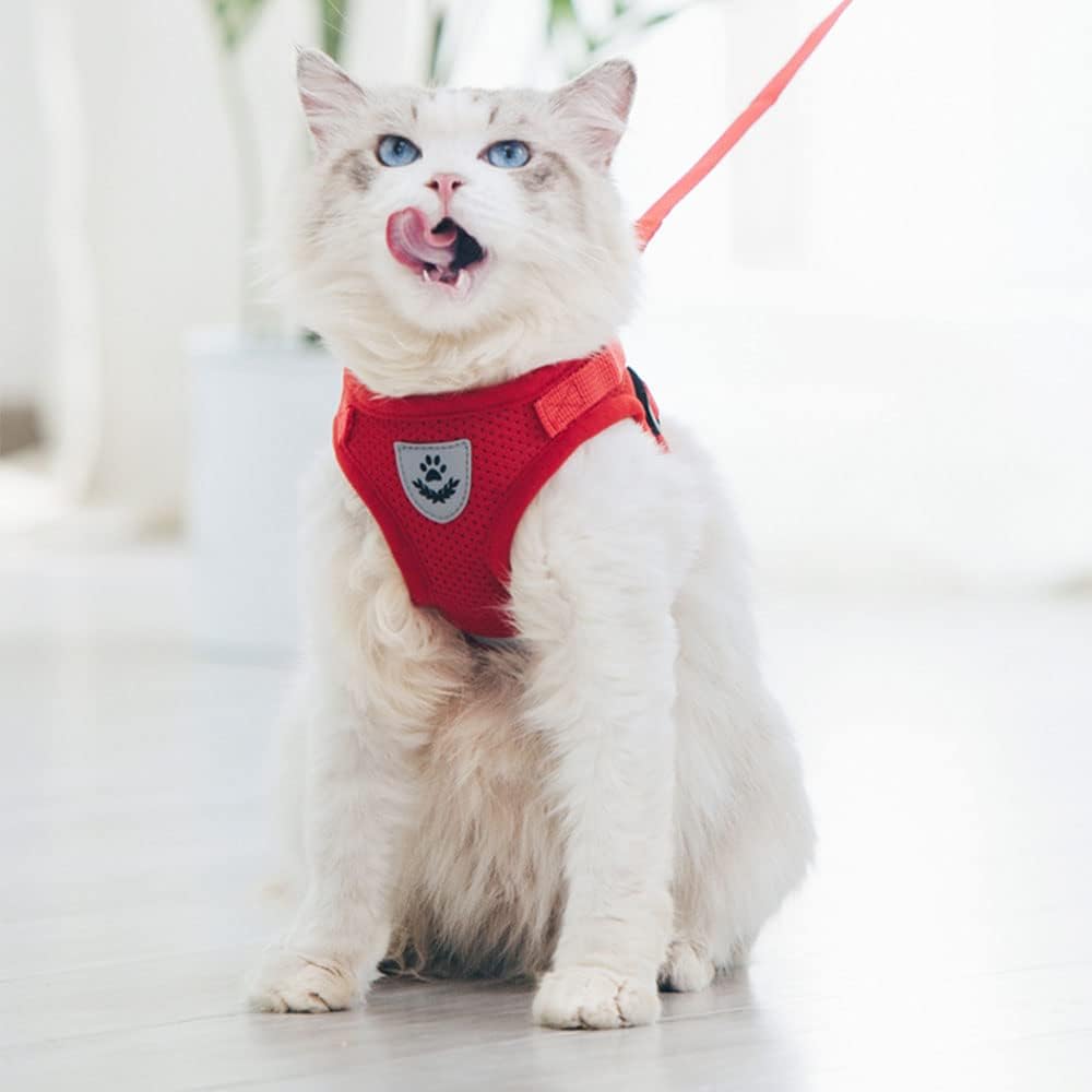 Anlitent Mesh Pet Harness and Lead Set