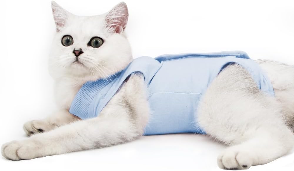 Cat Professional Recovery Suit for Abdominal | PetNestUK