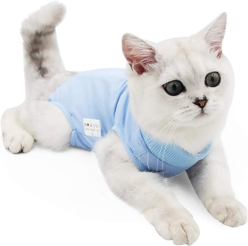 Cat Professional Recovery Suit for Abdominal | PetNestUK