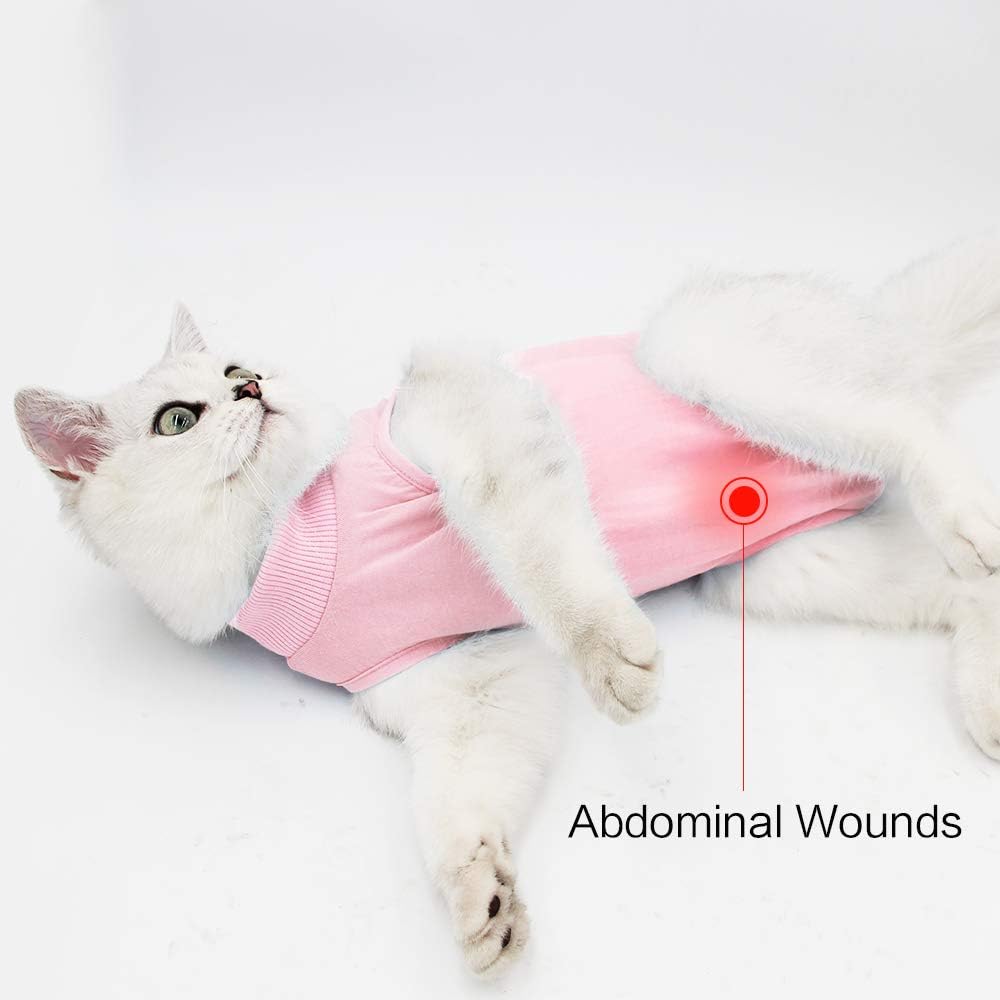 Cat Professional Recovery Suit for Abdominal | PetNestUK
