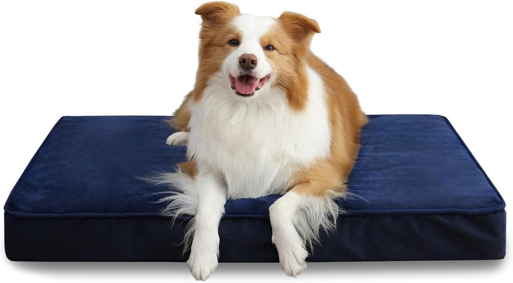 Jaspuriea Foam Dog Bed with Removable Cover