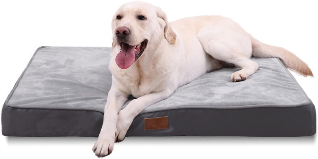Jaspuriea Foam Dog Bed with Removable Cover