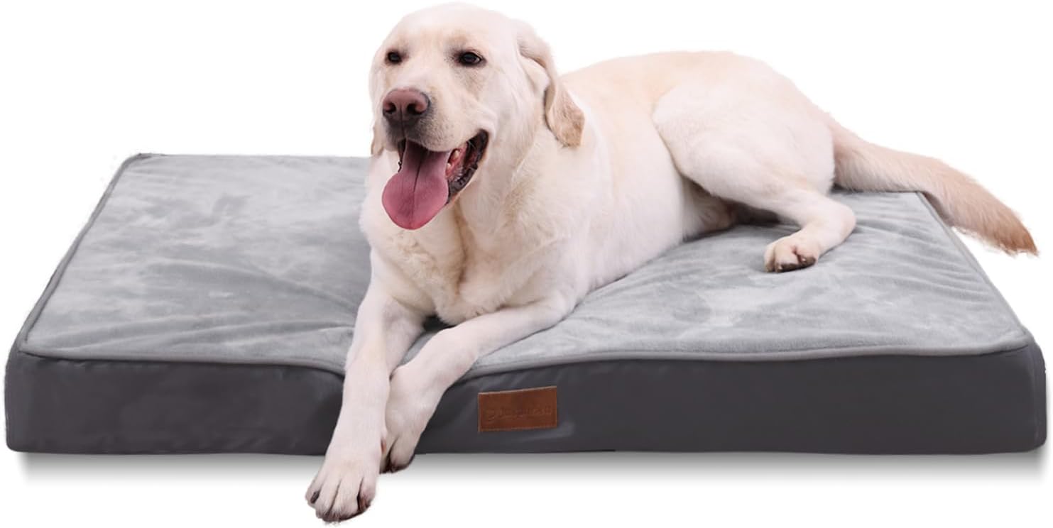 Jaspuriea Orthopedic Dog Beds Washable with | PetNestUK