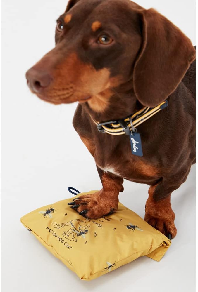 Rosewood Joules Go Lightly Packaway Jacket For | PetNestUK