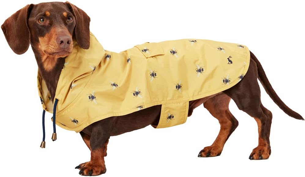 Rosewood Joules Go Lightly Packaway Jacket For | PetNestUK