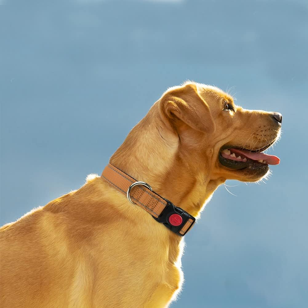 Taglory Reflective Nylon Dog Collar with Safety | PetNestUK