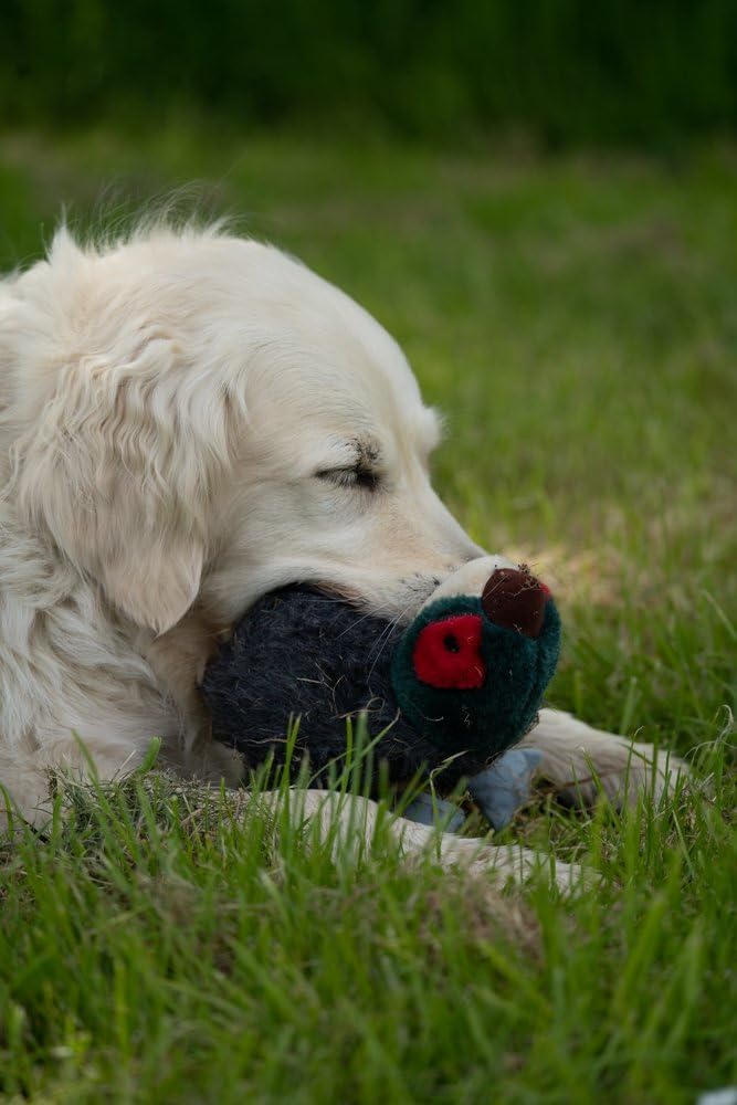 Petface Plush and Squeaky Dog Toys