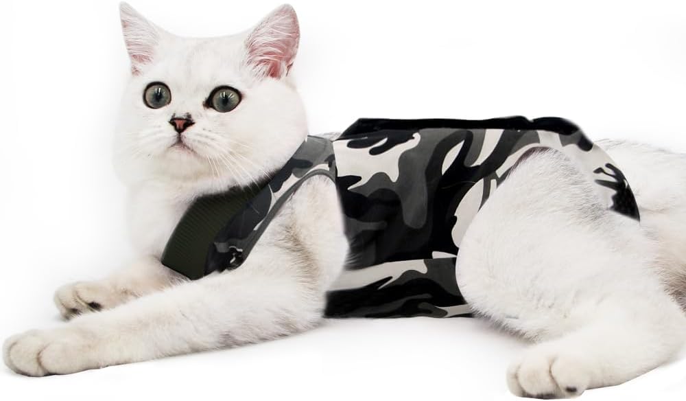 Cat Professional Recovery Suit for Abdominal | PetNestUK