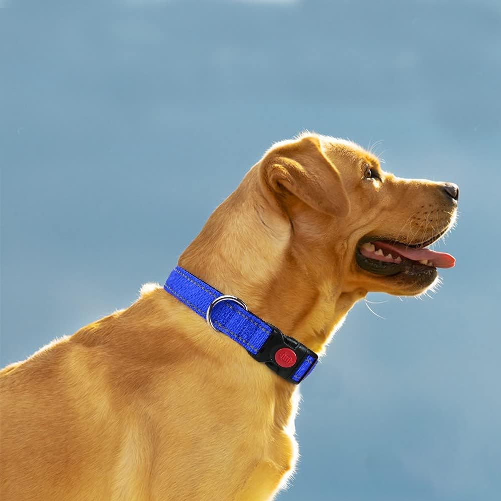 Taglory Reflective Nylon Dog Collar with Safety | PetNestUK