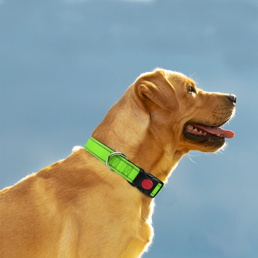 Taglory Reflective Nylon Dog Collar with Safety | PetNestUK