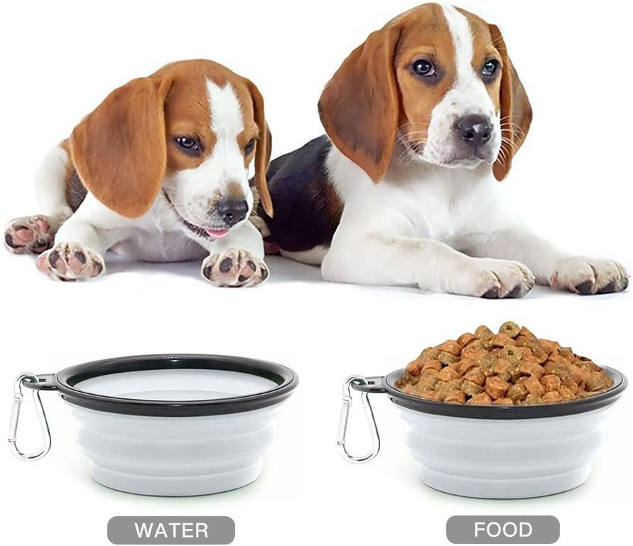 Collapsible Dog Bowl,Collapsible Dog Water Bowls | PetNestUK