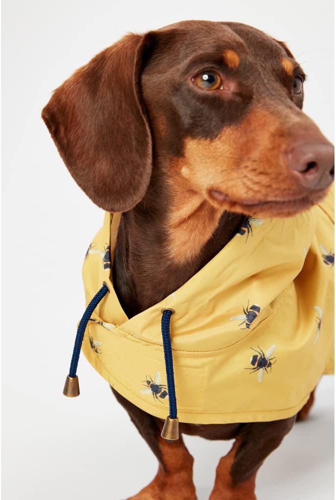 Rosewood Joules Go Lightly Packaway Jacket For | PetNestUK