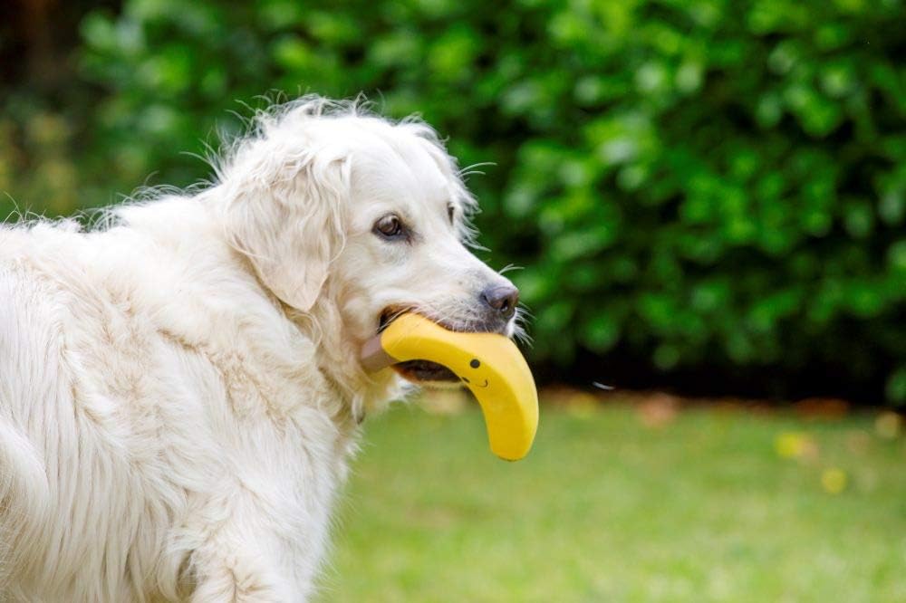 Petface Latex Fruit and Vegetable Dog Toys