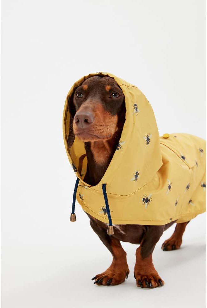 Rosewood Joules Go Lightly Packaway Jacket For | PetNestUK