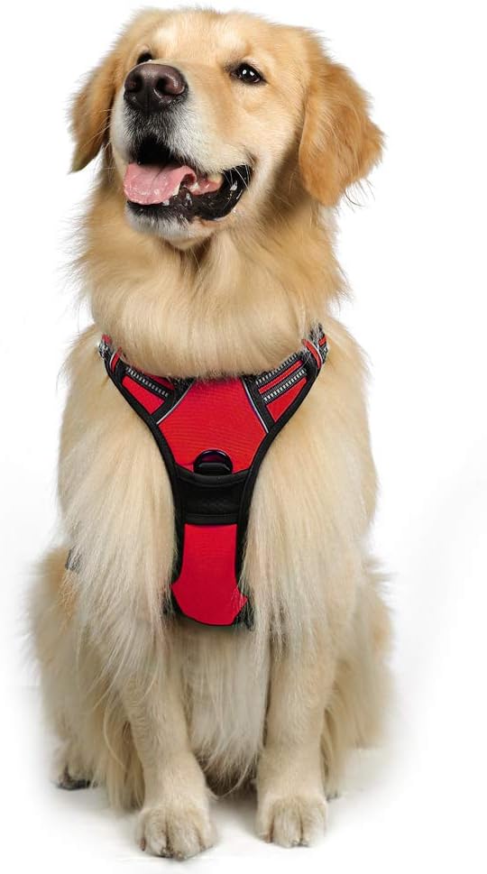rabbitgoo Padded Dog Harness with Two Lead Clips