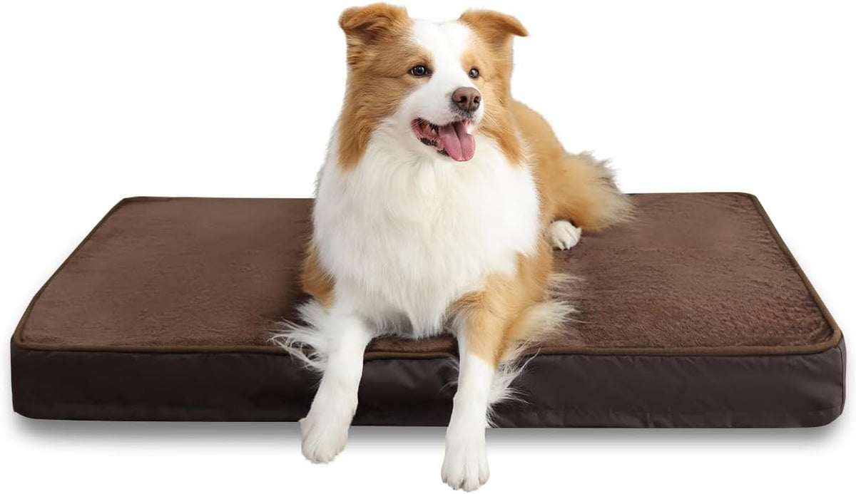 Jaspuriea Foam Dog Bed with Removable Cover