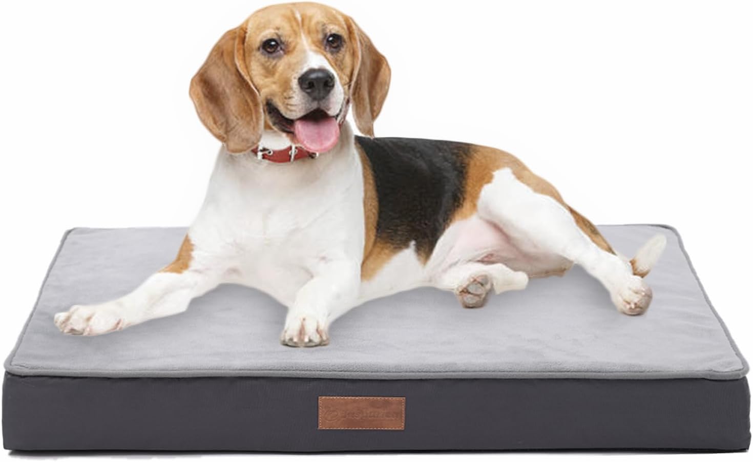Jaspuriea Orthopedic Dog Beds Washable with | PetNestUK