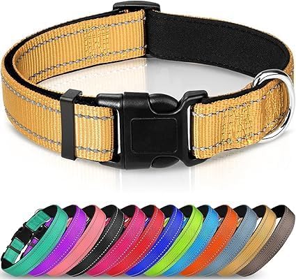 Joytale Reflective Dog Collar with Neoprene Padding