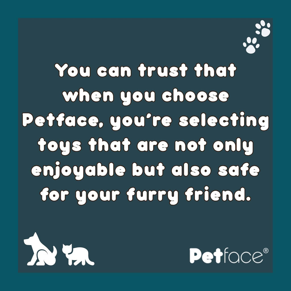 Petface Freddie Fox Plush Cat Toy Filled with | PetNestUK