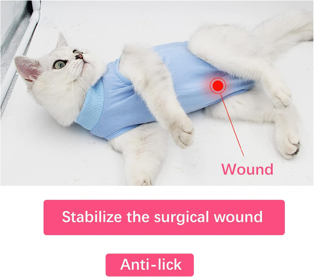 WDEC M 2-4kg Cat Professional Recovery Suit for | PetNestUK