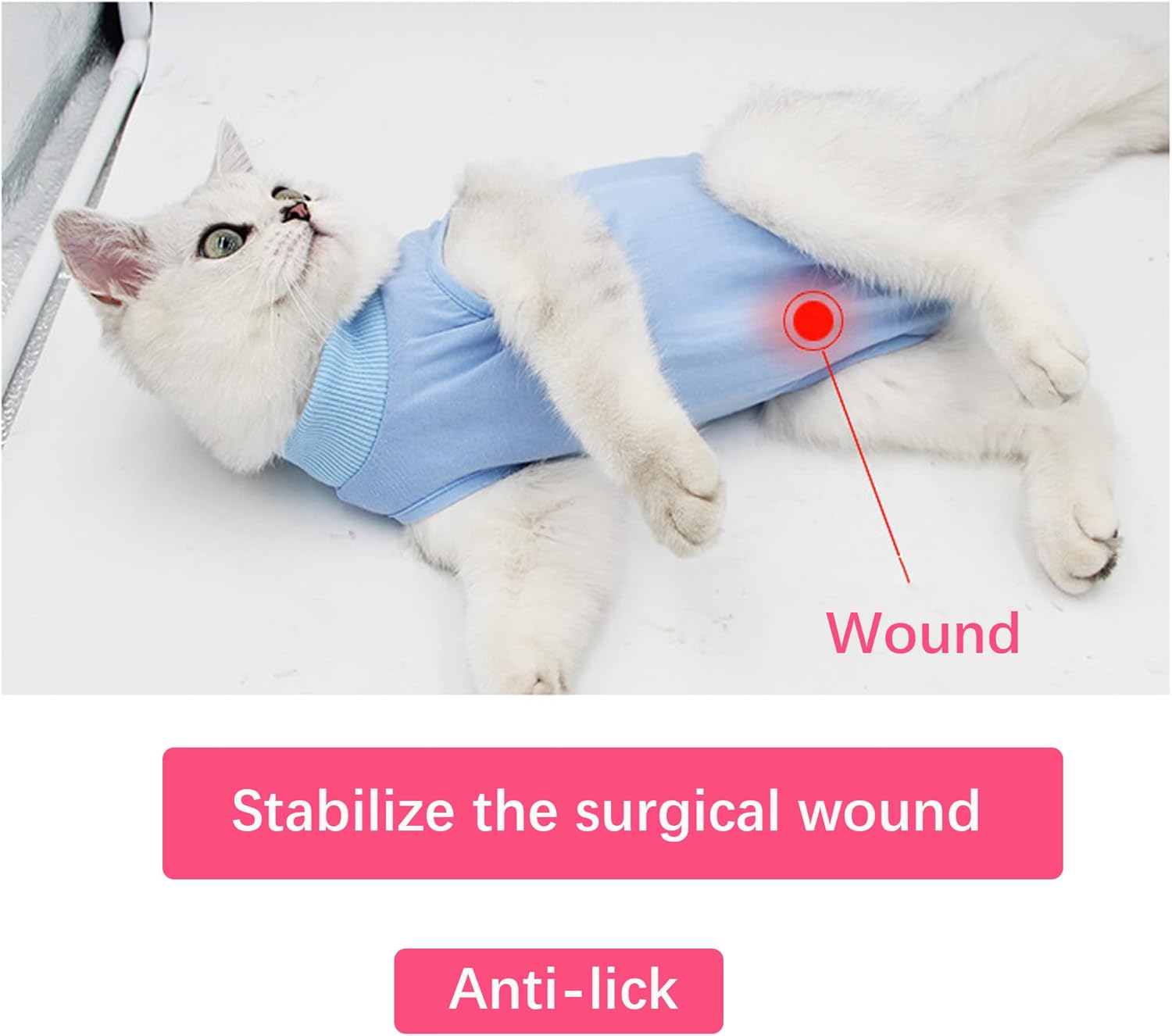 WDEC M 2-4kg Cat Professional Recovery Suit for | PetNestUK