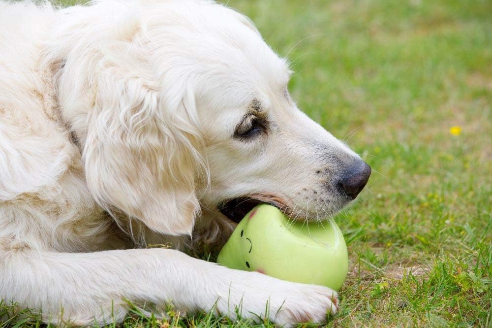 Petface Latex Fruit and Vegetable Dog Toys