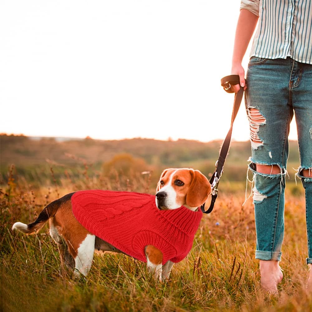 Knitted Jumper for Small Dogs